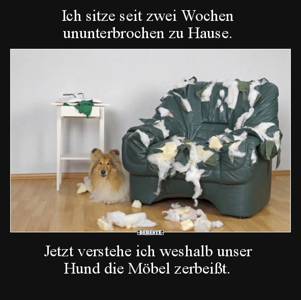 Ich sitze seit zwei Wochen ununterbrochen zu Hause... - Lustige Bilder | DEBESTE.de