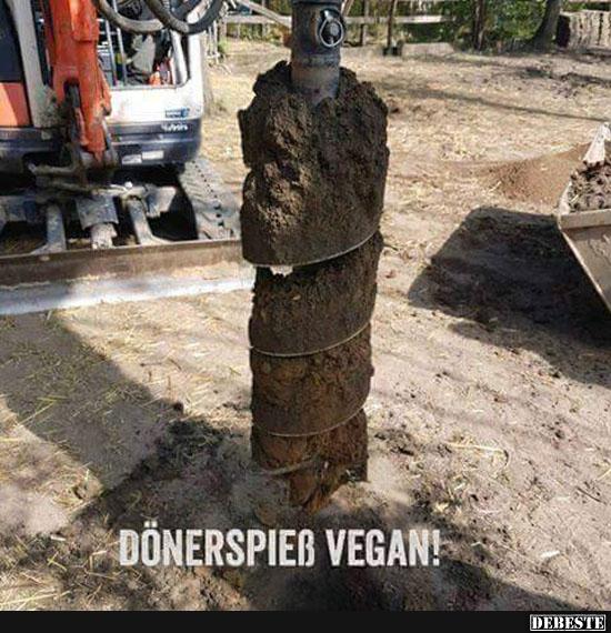 Dönerspieß Vegan!