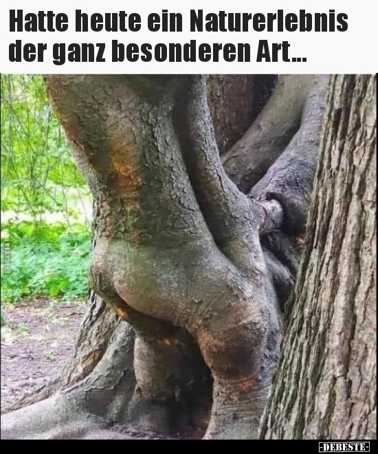 Natur, Heute, Ganz