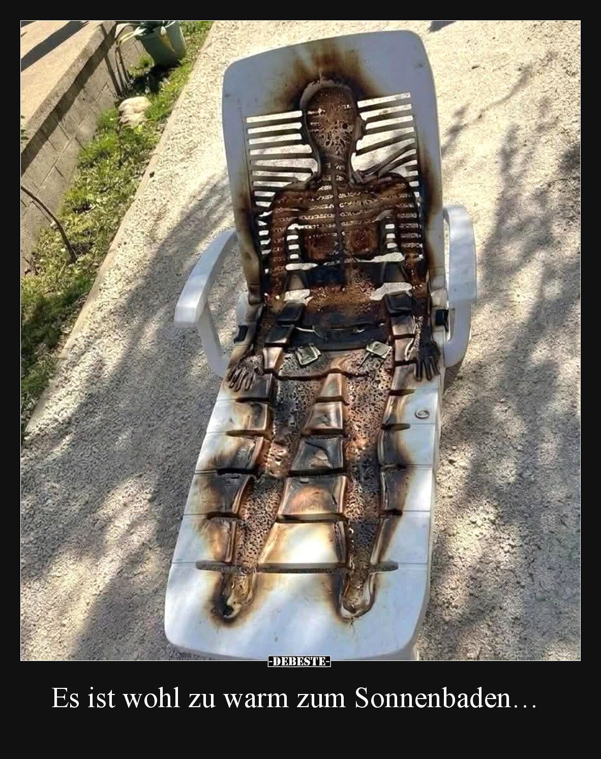 Es ist wohl zu warm zum Sonnenbaden…