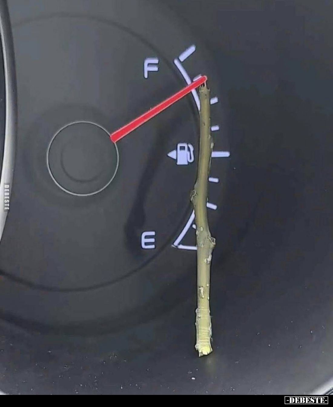  - Lustige Bilder | DEBESTE.de