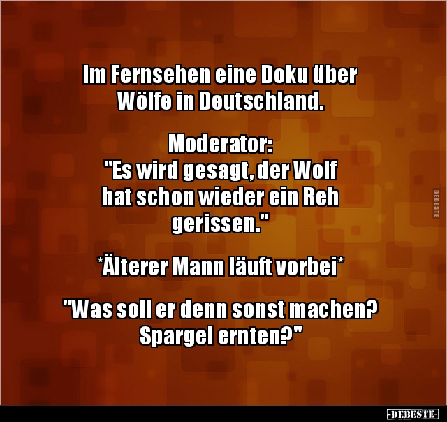 Im Fernsehen eine Doku über Wölfe in.. - Lustige Bilder | DEBESTE.de