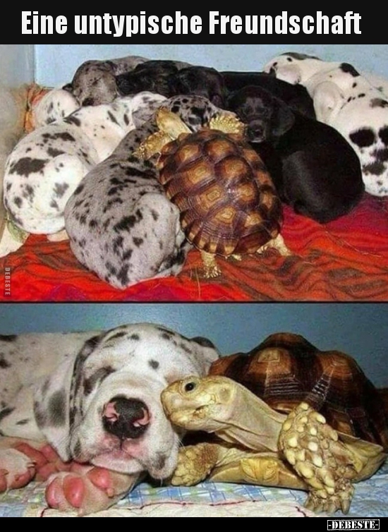 Eine untypische Freundschaft..