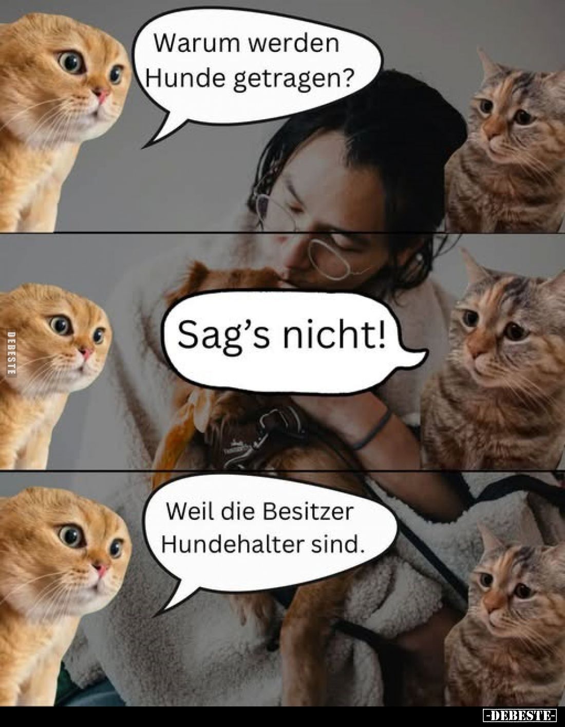 Warum werden Hunde getragen?
-
Sag's nicht!
-
Weil die Besitzer Hundehalter sind.