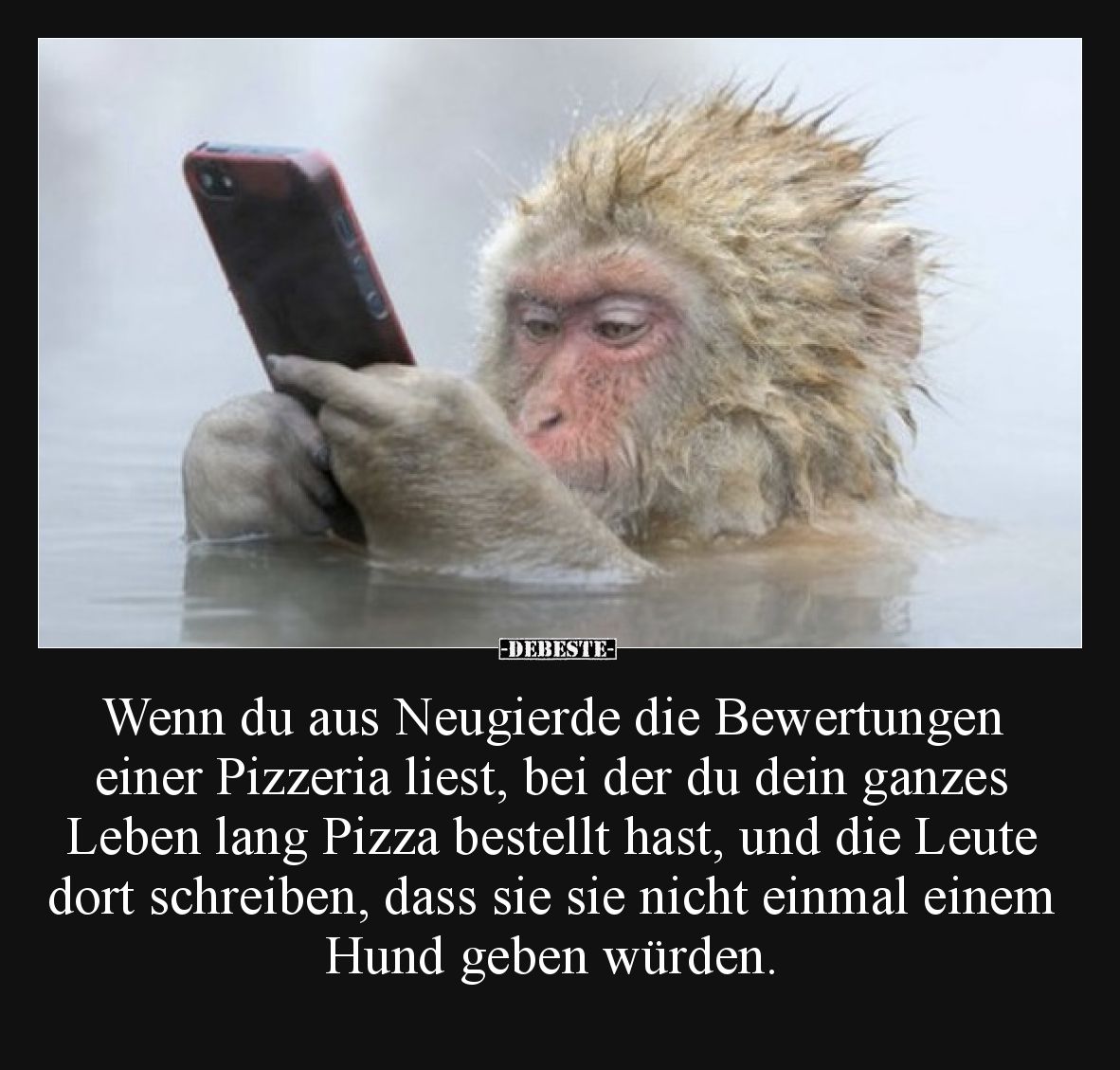 Wenn du aus Neugierde die Bewertungen einer Pizzeria liest, bei der du dein ganzes Leben lang Pizza bestellt hast, und die Le...
