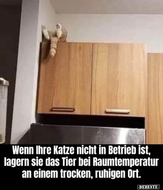 Wenn Ihre Katze nicht in Betrieb ist, lagern sie das Tier.. - Lustige Bilder | DEBESTE.de