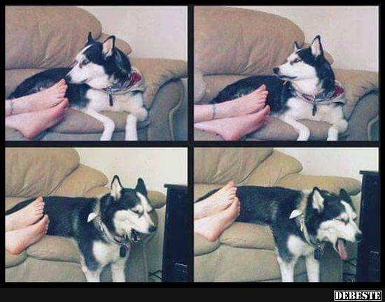 Ganz klar.. Damenfüße.. ;)