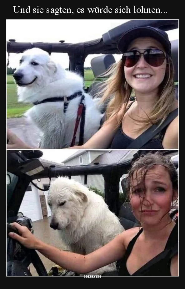 Und sie sagten, es würde sich lohnen...