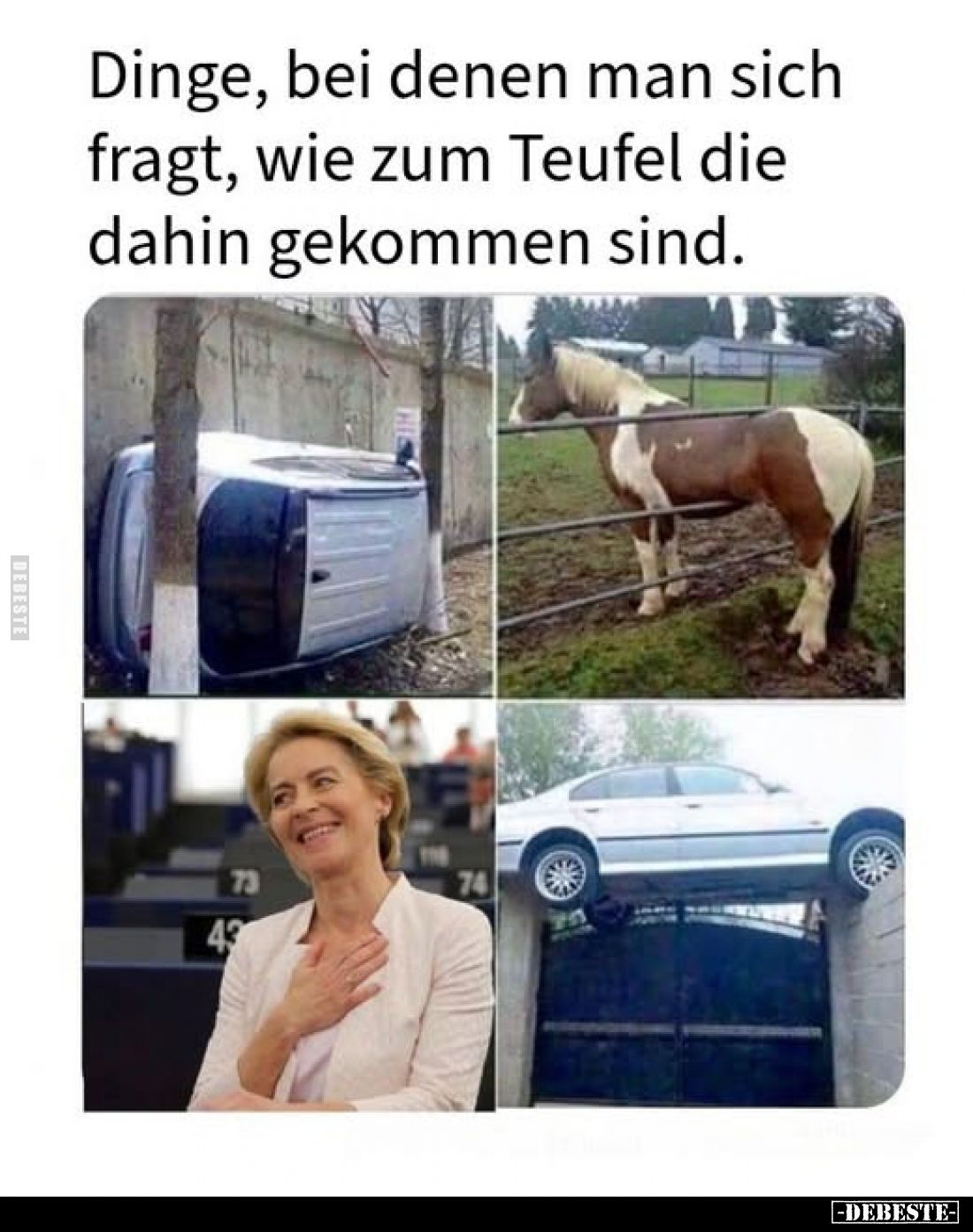 Dinge, bei denen man sich fragt, wie zum Teufel die dahin gekommen sind.