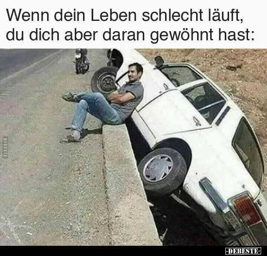 Wenn dein Leben schlecht läuft, du dich aber daran gewöhnt.. - Lustige Bilder | DEBESTE.de