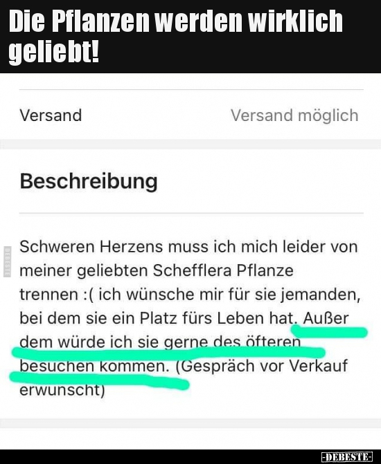 Die Pflanzen werden wirklich geliebt!..