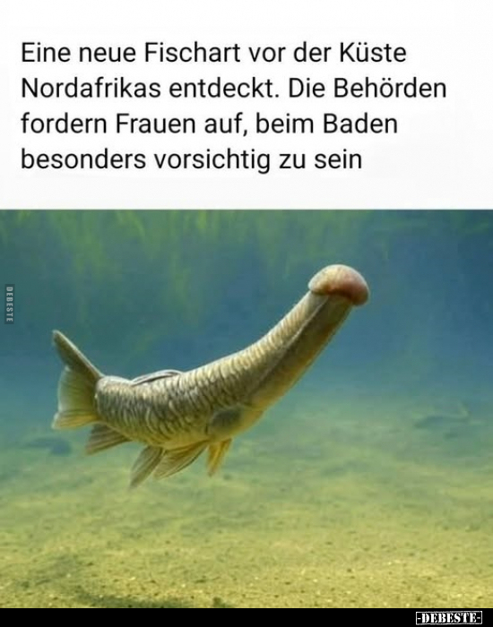 Neue, Frauen, Beim Baden, Baden