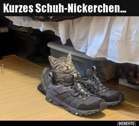 Kurzes Schuh-Nickerchen...