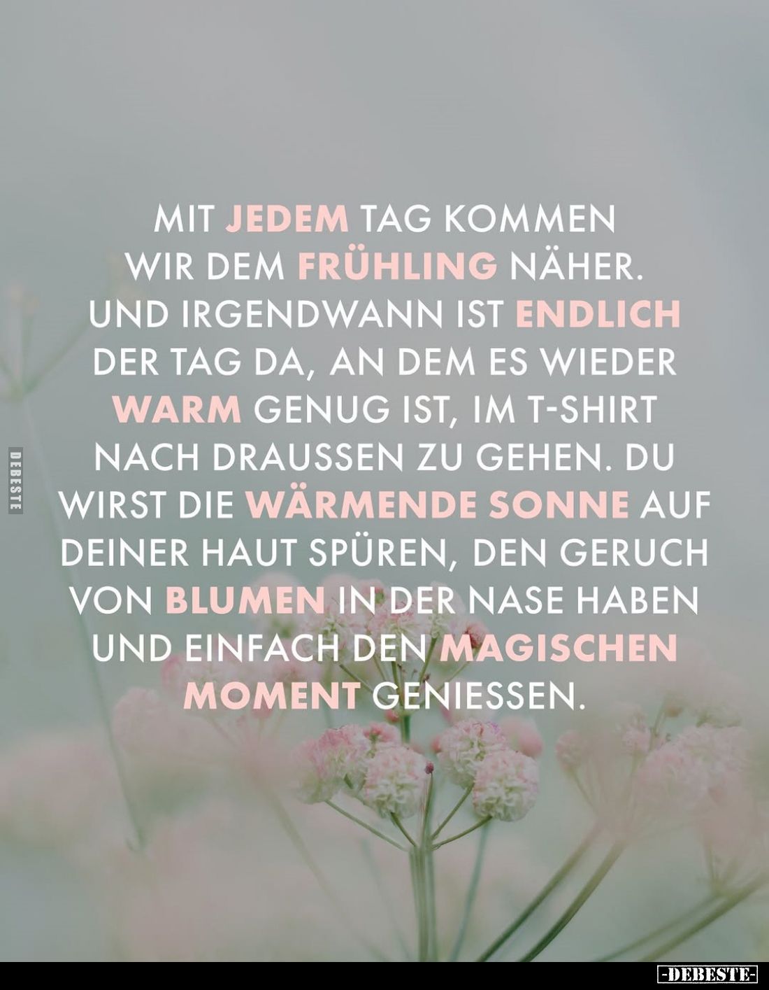 Mit jedem Tag kommen wir dem Frühling näher. Und irgendwann ist endlich der Tag da, an dem es wieder warm genug ist, im T-Shi...