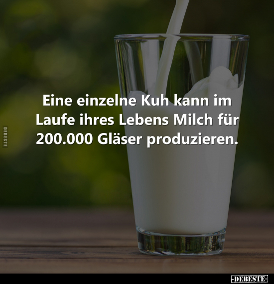 Eine einzelne Kuh kann im Laufe ihres Lebens Milch.. - Lustige Bilder | DEBESTE.de