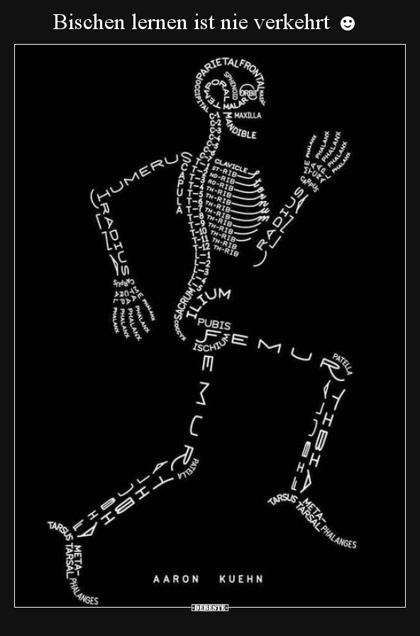 Bischen lernen ist nie verkehrt ☻
