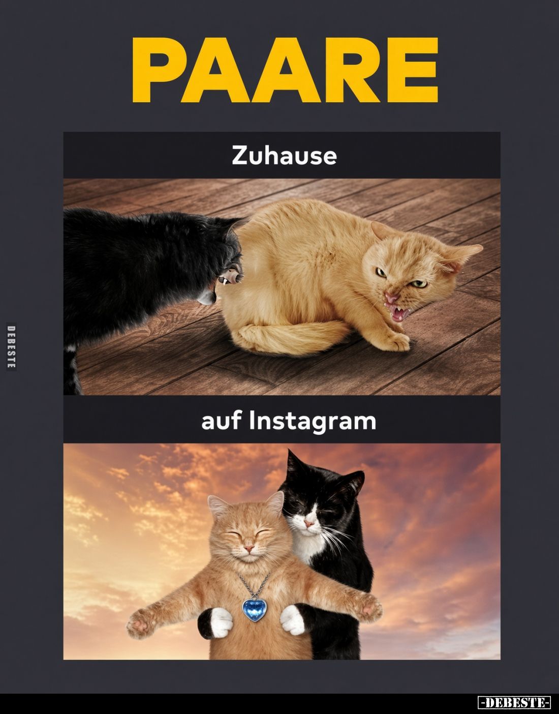 PAARE.
Zuhause/
auf Instagram