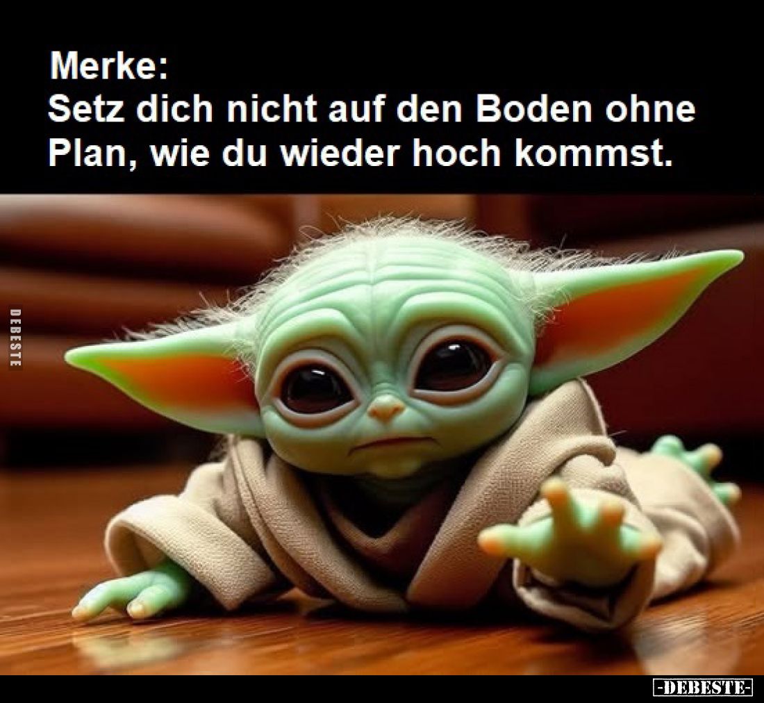 Merke: Setz dich nicht auf den Boden ohne Plan... - Lustige Bilder | DEBESTE.de