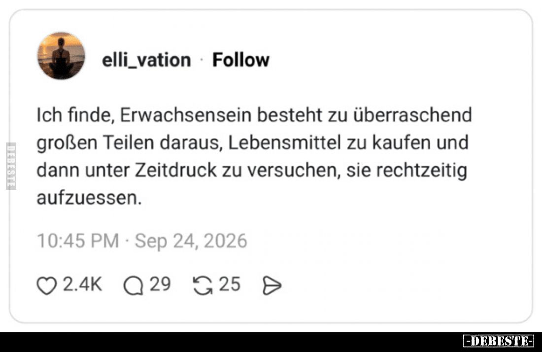 Ich finde, Erwachsensein besteht zu überraschend
großen Teilen daraus, Lebensmittel zu kaufen und
dann unter Zeitdruck zu v...