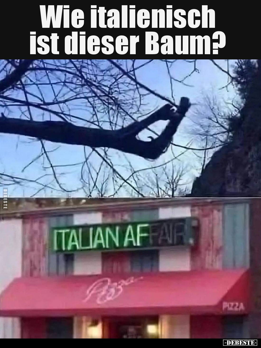 Wie italienisch ist dieser Baum?