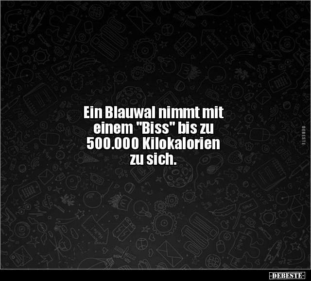 Ein Blauwal nimmt mit einem "Biss" bis zu.. - Lustige Bilder | DEBESTE.de