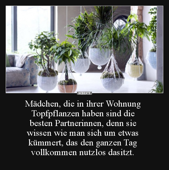Mädchen, die in ihrer Wohnung Topfpflanzen haben sind die.. - Lustige Bilder | DEBESTE.de