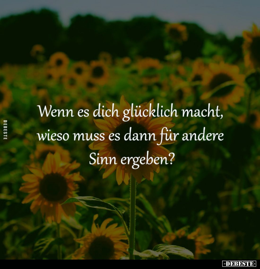Wenn es dich glücklich macht, 
wieso muss es dann für andere 
Sinn ergeben?