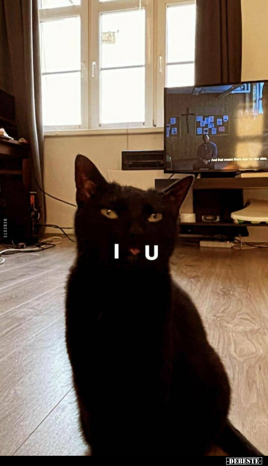 I♥U