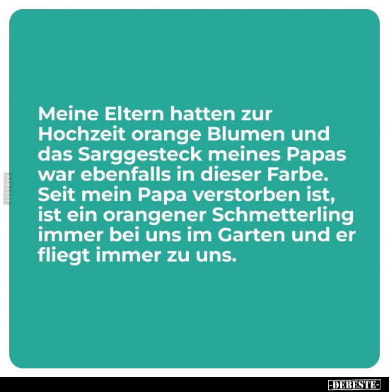 Meine Eltern hatten zur Hochzeit orange Blumen und das.. - Lustige Bilder | DEBESTE.de