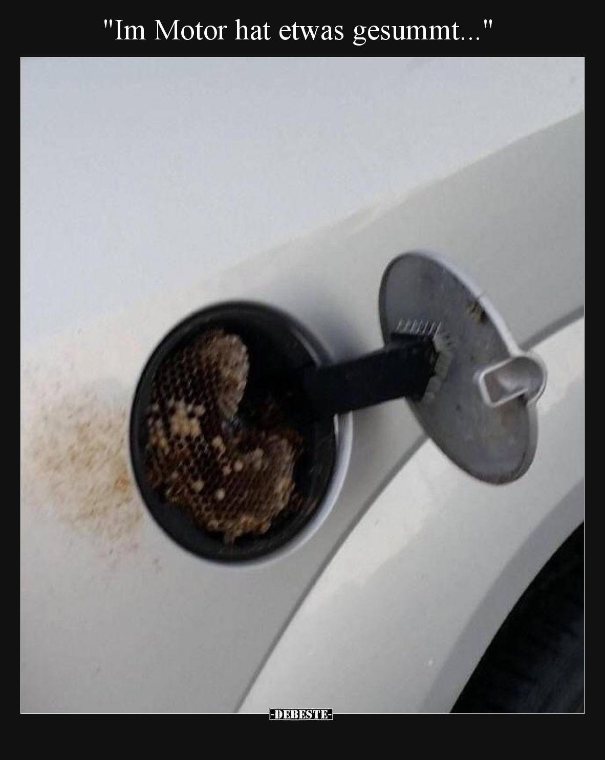 Im Motor hat etwas gesummt.