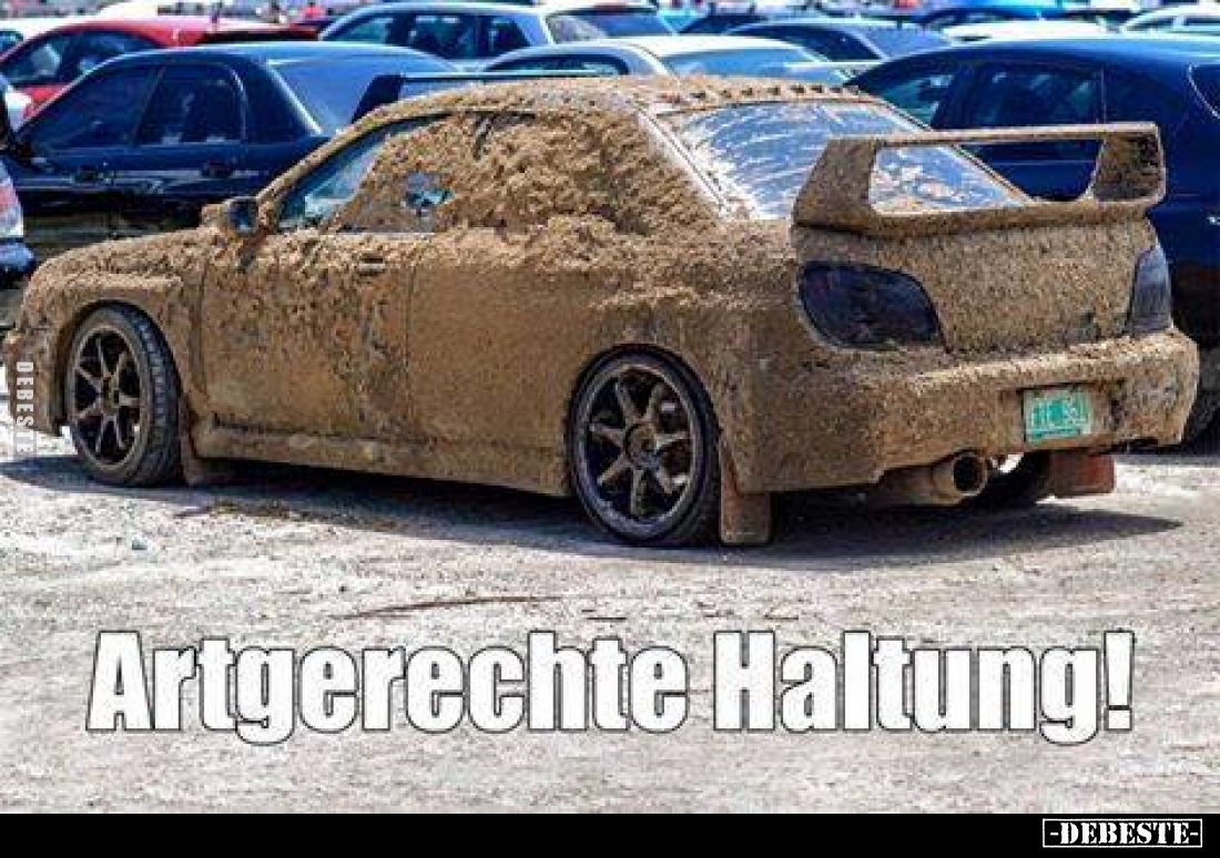 Artgerechte Haltung!.. - Lustige Bilder | DEBESTE.de
