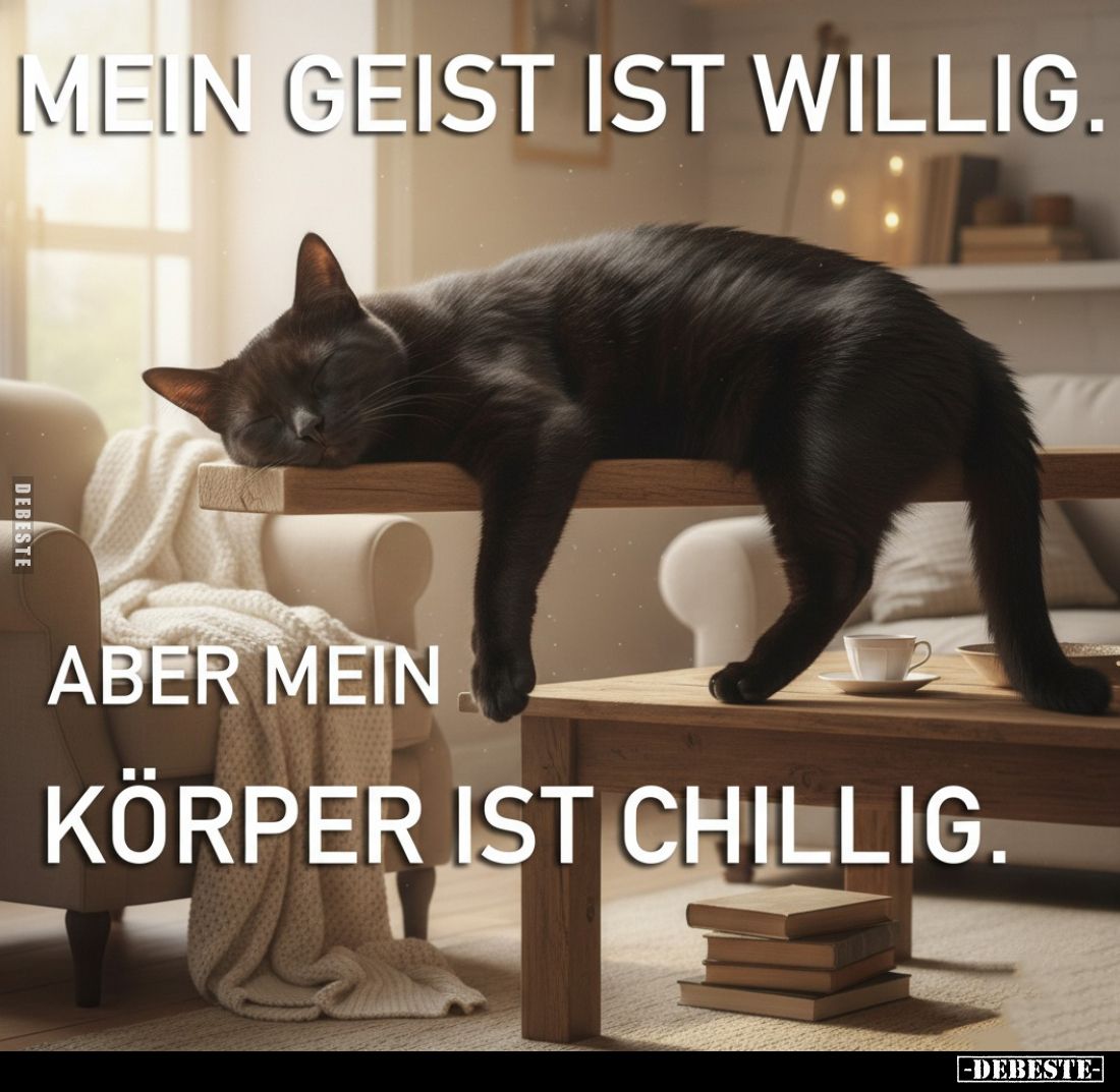 Mein Geist ist willig.
Aber mein
Körper ist chillig.