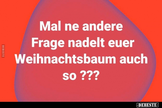 Mal ne andere Frage nadelt euer Weihnachtsbaum auch so ?