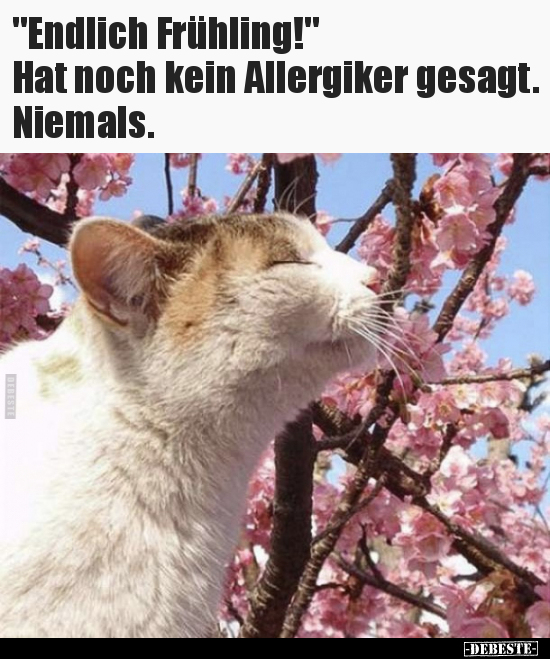 "Endlich Frühling!" Hat noch kein Allergiker.. - Lustige Bilder | DEBESTE.de