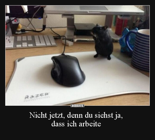 Nicht jetzt, denn du siehst ja, dass ich arbeite.. - Lustige Bilder | DEBESTE.de