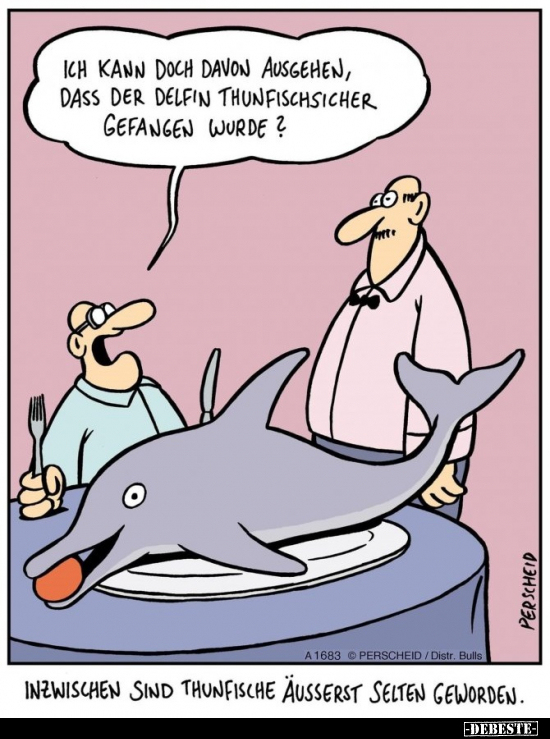 Ich kann doch davon ausgehen, dass der Delfin.. - Lustige Bilder | DEBESTE.de