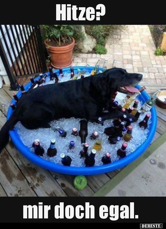 Hitze? mir doch egal...