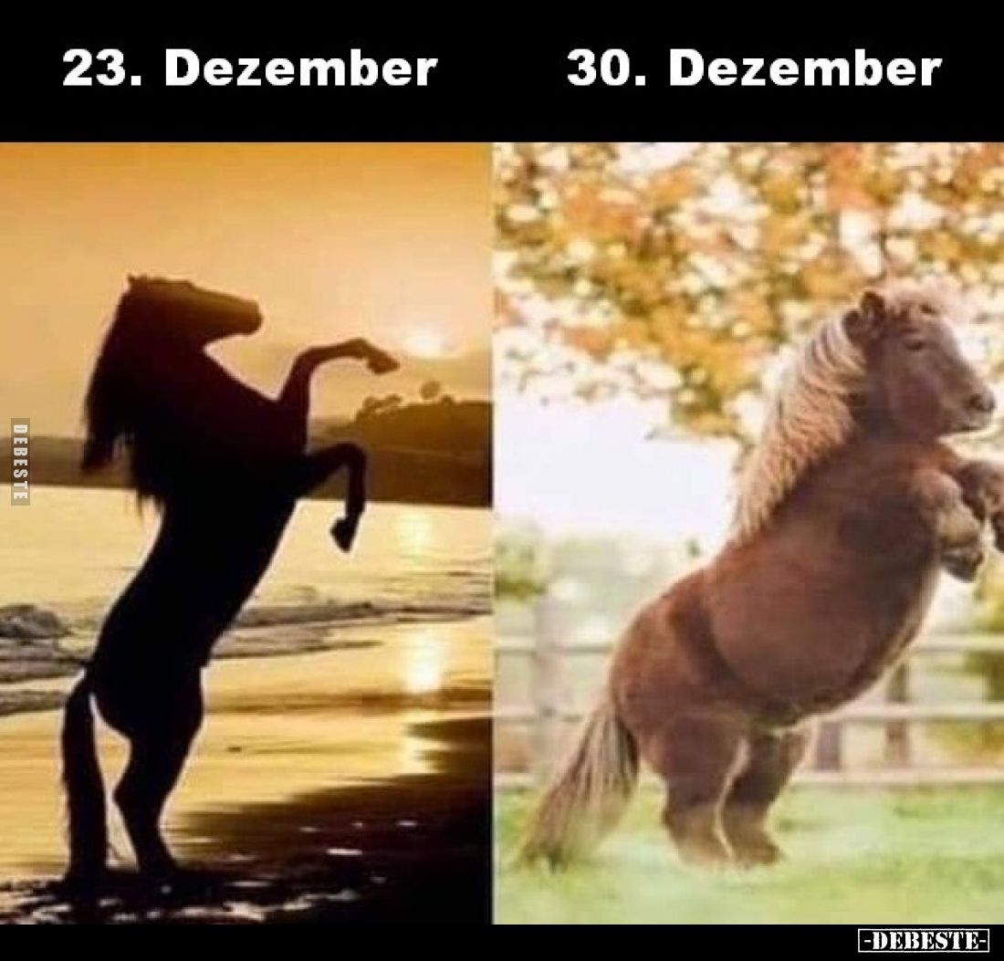 23. Dezember / 30. Dezember.. - Lustige Bilder | DEBESTE.de