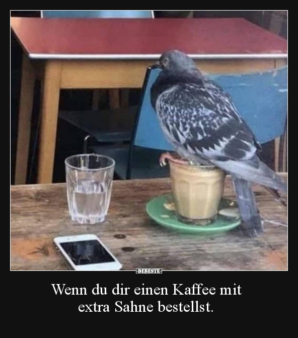 Wenn du dir einen Kaffee mit extra Sahne bestellst... - Lustige Bilder | DEBESTE.de