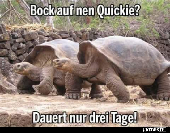 Bock auf nen Quickie? Dauert nur drei Tage!.. - Lustige Bilder | DEBESTE.de