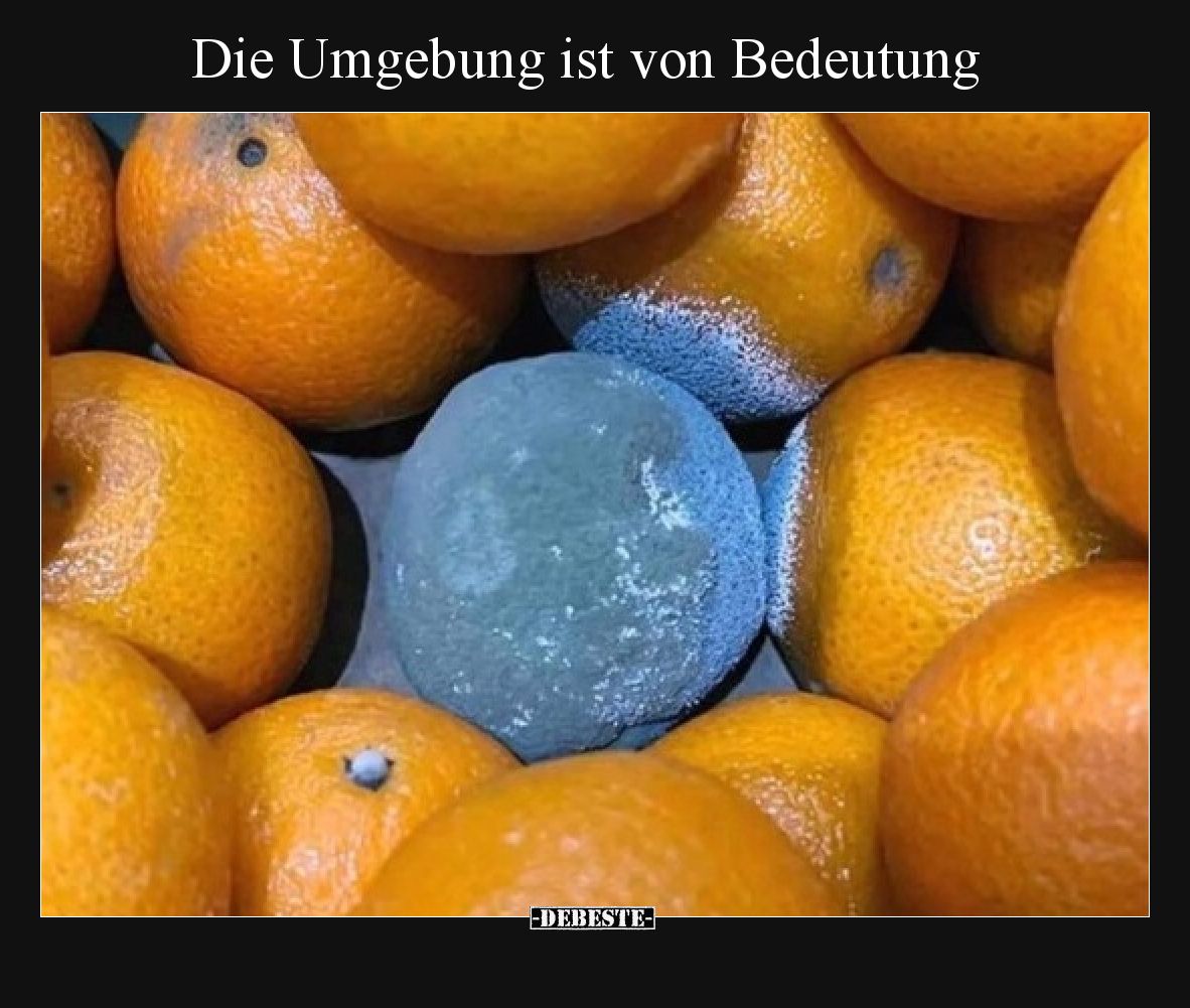 Die Umgebung ist von Bedeutung.