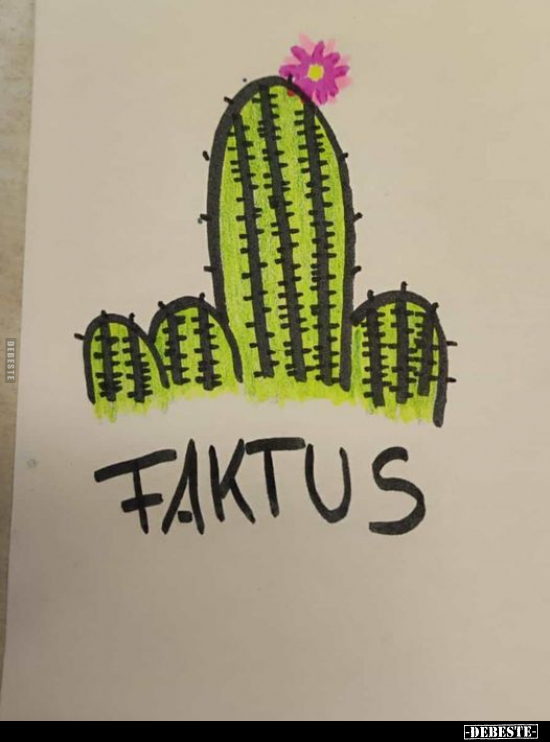 Faktus