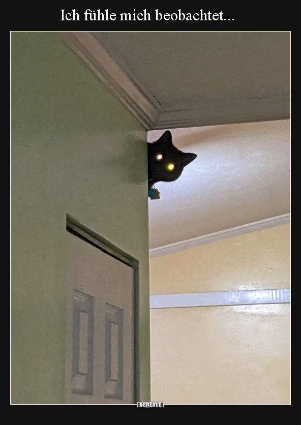 Ich fühle mich beobachtet...