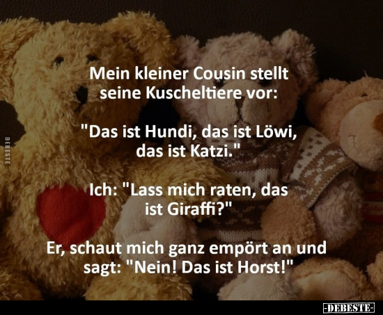 Mein kleiner Cousin stellt seine Kuscheltiere vor.. - Lustige Bilder | DEBESTE.de