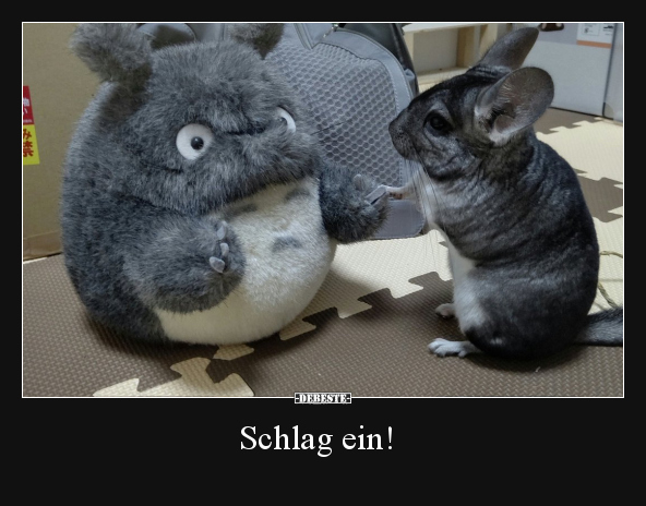 Schlag ein!..