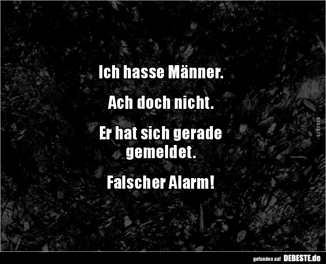 Ich hasse Männer.


Ach doch nicht.


Er hat sich gerade 
gemeldet.


Falscher Alarm!