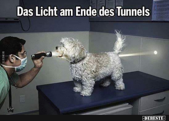 Das Licht am Ende des Tunnels... - Lustige Bilder | DEBESTE.de