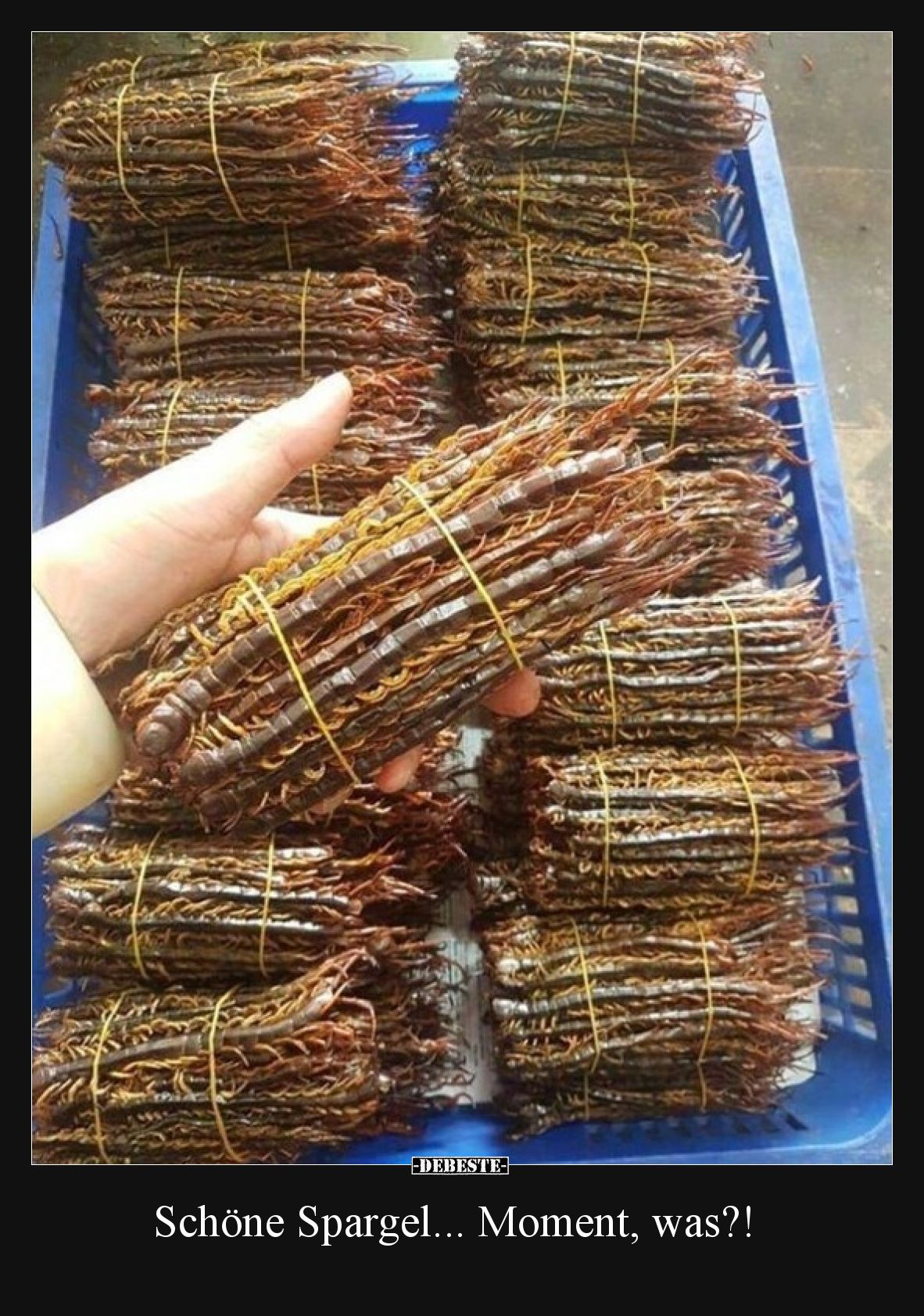 Schöne Spargel... Moment, was?!