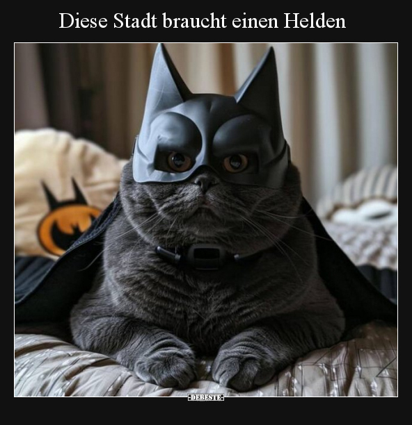 Diese Stadt braucht einen Helden.. - Lustige Bilder | DEBESTE.de