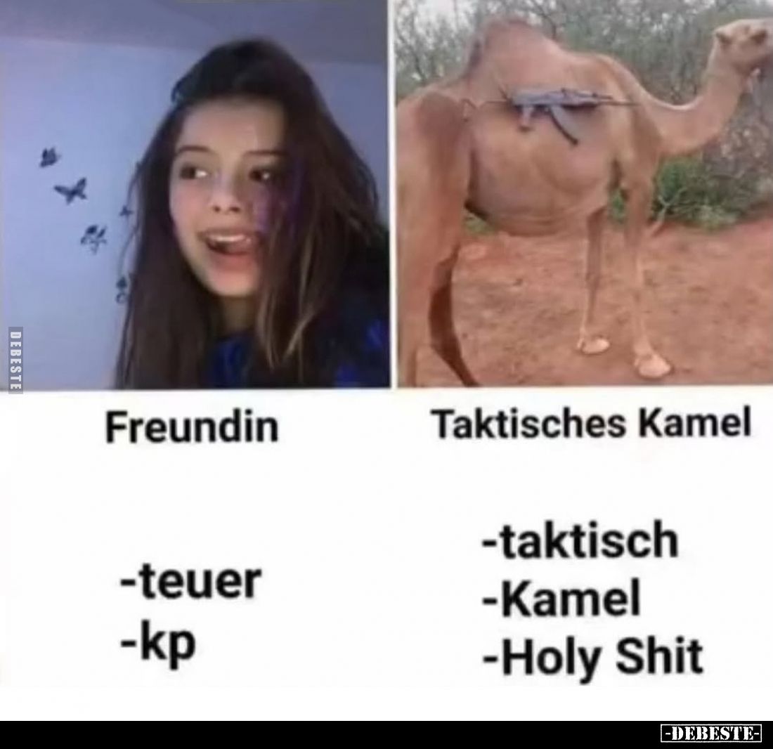 Freundin:
- teuer
- kp;
Taktisches Kamel:
- taktisch
- Kamel
- Holy Shit